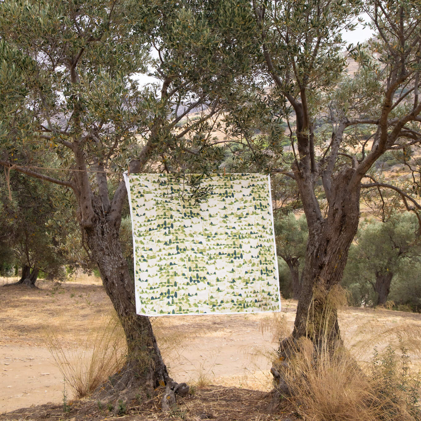 Sacred Hills Fabric