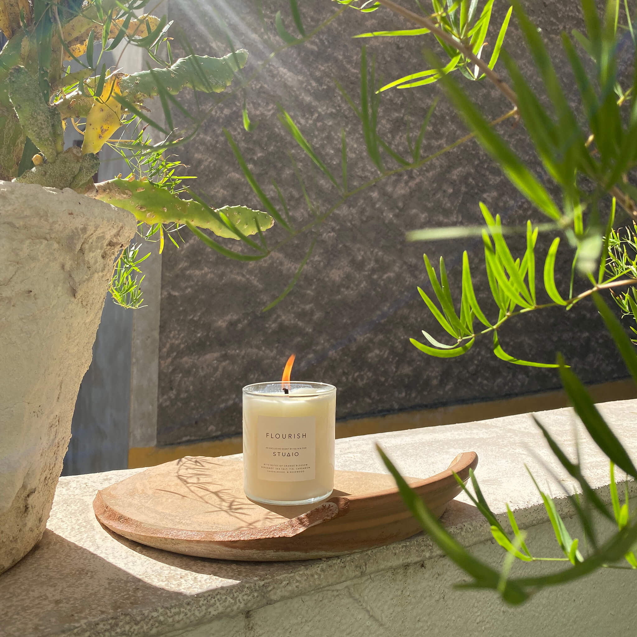 Flourish Candle: TM x Vana Chupp x NA NIN Collab
